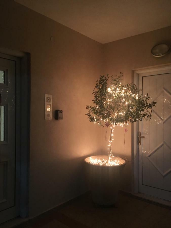 Cozy & Quiet City Apartment Tríkala エクステリア 写真